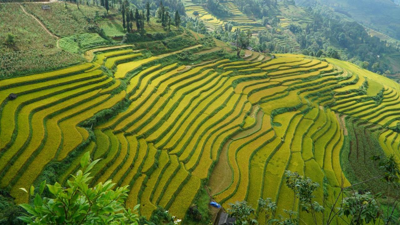 Huy Trung Homestay Bac Ha  Kültér fotó